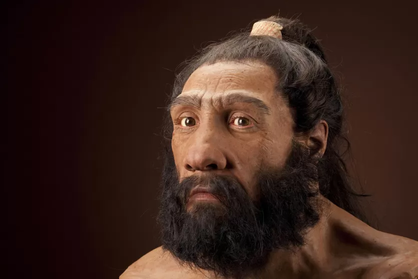 homo neanderthalensis y homo sapiens