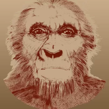 front view of common ancestor, face illustration